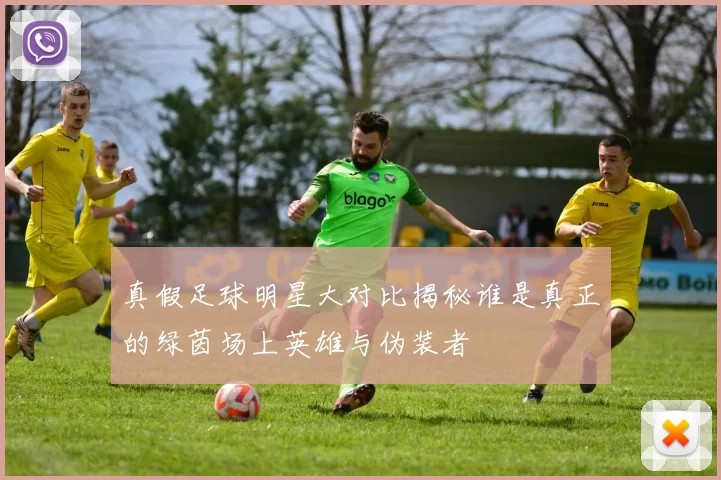 真假足球明星大对比揭秘谁是真正的绿茵场上英雄与伪装者
