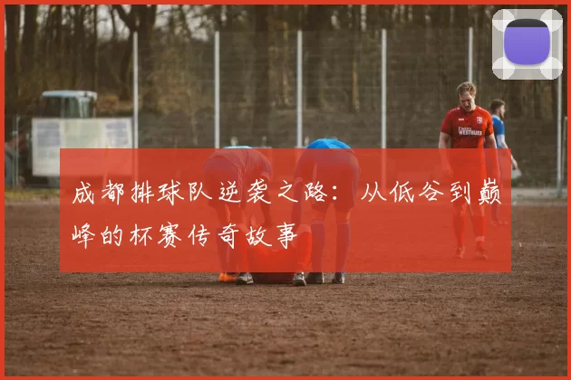成都排球队逆袭之路：从低谷到巅峰的杯赛传奇故事