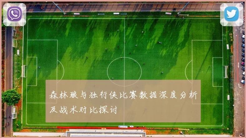 森林狼与独行侠比赛数据深度分析及战术对比探讨