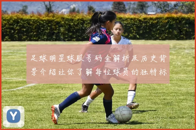 足球明星球服号码全解析及历史背景介绍让你了解每位球员的独特标识