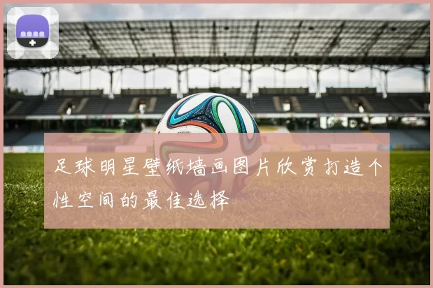 足球明星壁纸墙画图片欣赏打造个性空间的最佳选择