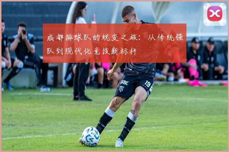 成都排球队的蜕变之旅：从传统强队到现代化竞技新标杆