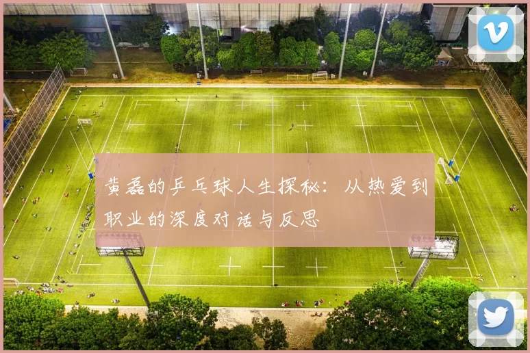 黄磊的乒乓球人生探秘：从热爱到职业的深度对话与反思