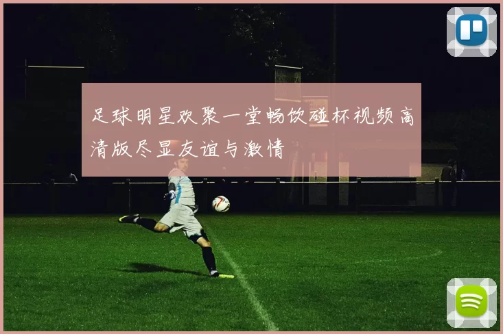 足球明星欢聚一堂畅饮碰杯视频高清版尽显友谊与激情