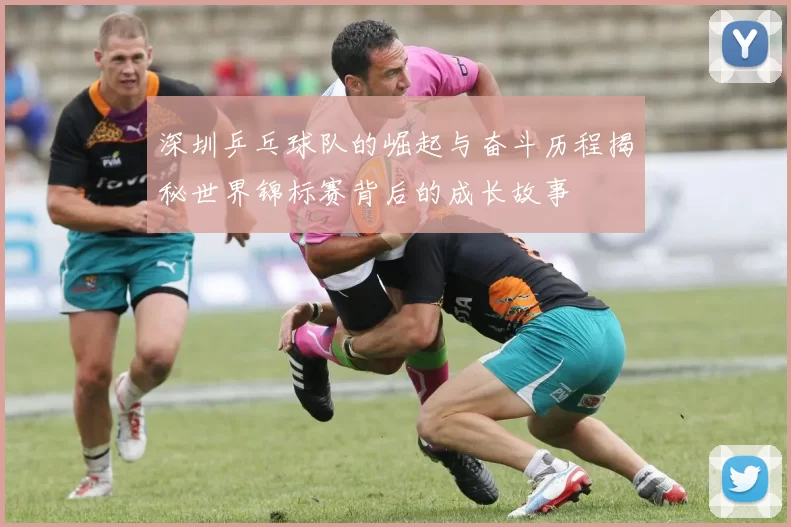 深圳乒乓球队的崛起与奋斗历程揭秘世界锦标赛背后的成长故事