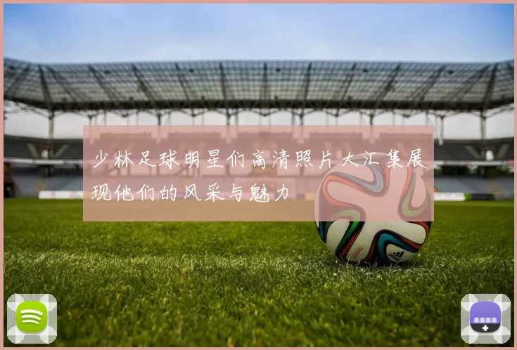 少林足球明星们高清照片大汇集展现他们的风采与魅力