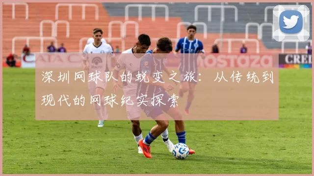 深圳网球队的蜕变之旅：从传统到现代的网球纪实探索