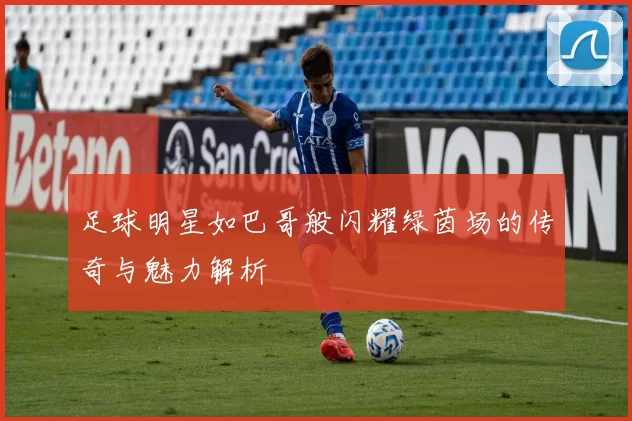 足球明星如巴哥般闪耀绿茵场的传奇与魅力解析