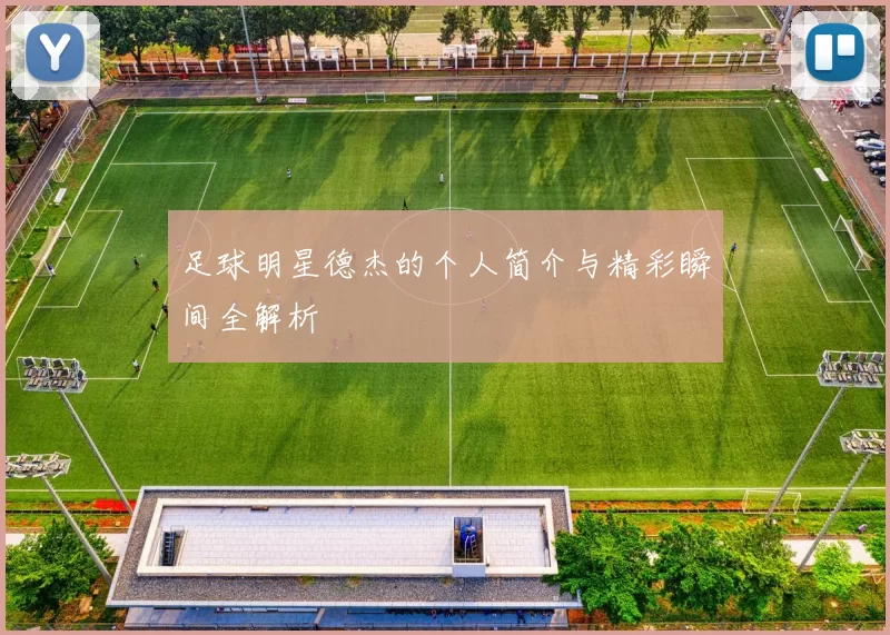 足球明星德杰的个人简介与精彩瞬间全解析