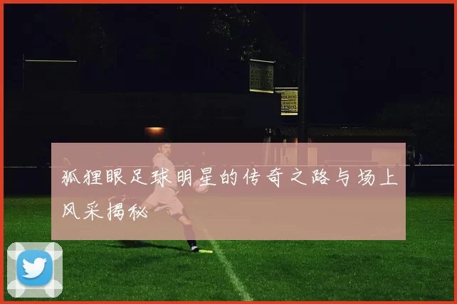 狐狸眼足球明星的传奇之路与场上风采揭秘