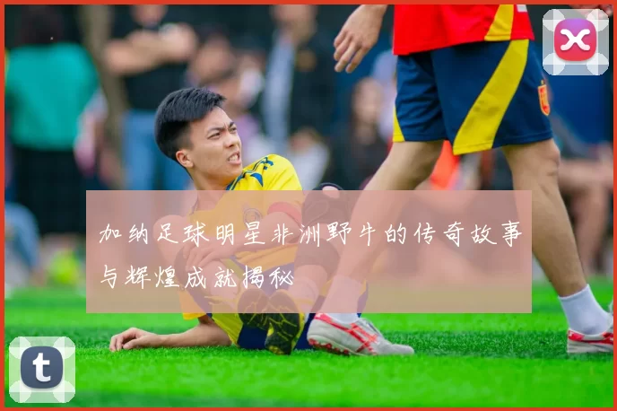 加纳足球明星非洲野牛的传奇故事与辉煌成就揭秘