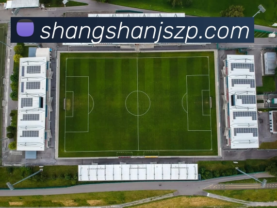 数据分析功能